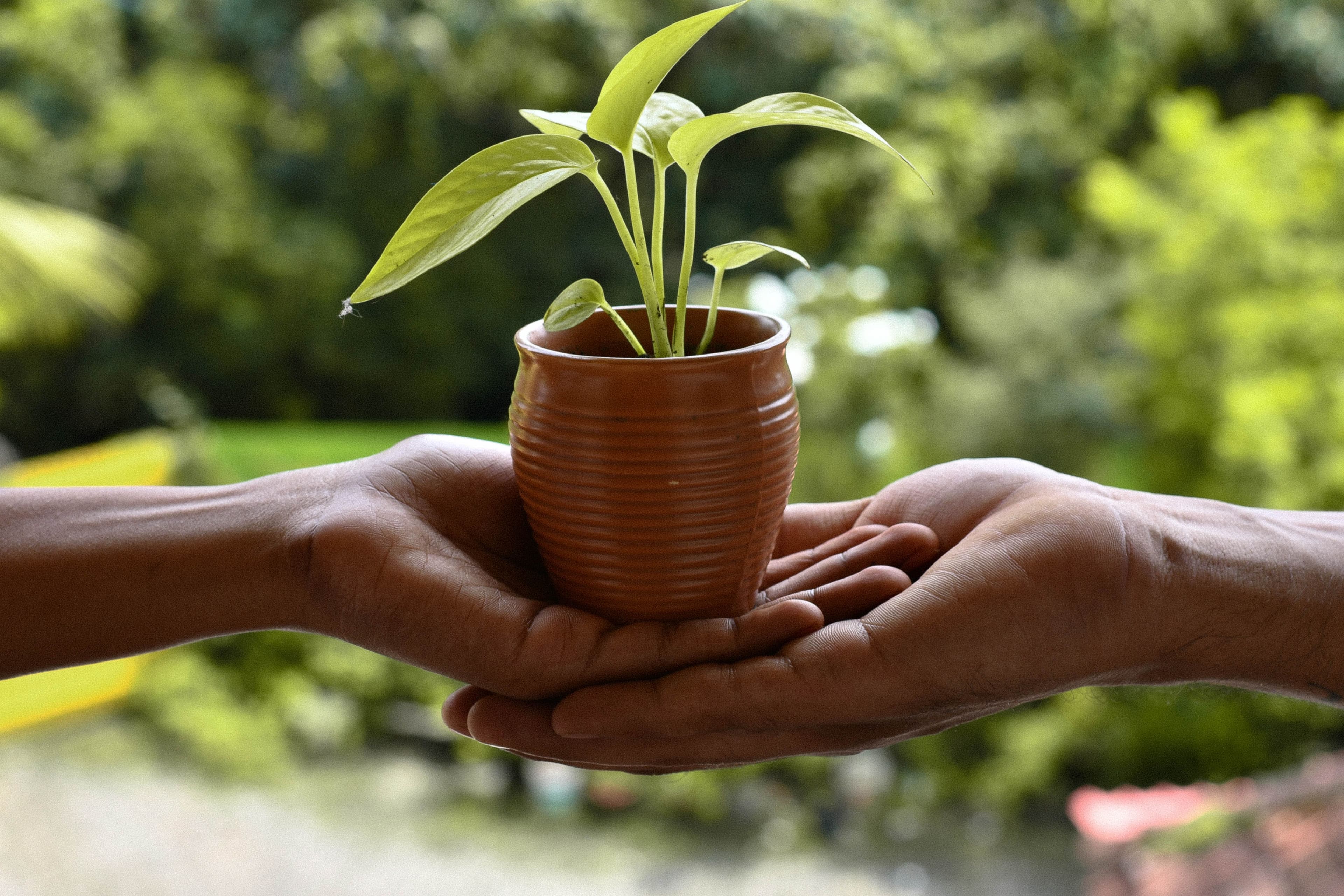 Philip A. Eubanks: Sacred Connection — Generosity Monk
